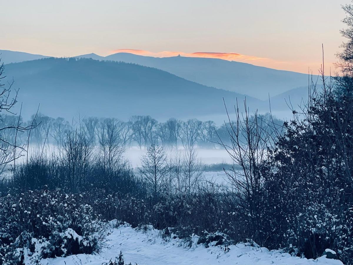 Oh Deer! Lägenhet Jelenia Góra Exteriör bild